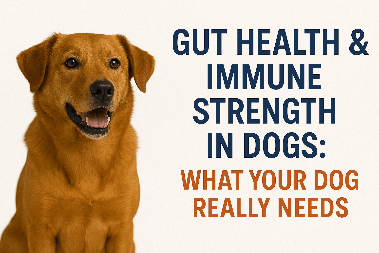 Image showcasing Dog Gut Health Tips 2025: Boost Immunity | Animal Care Clinic